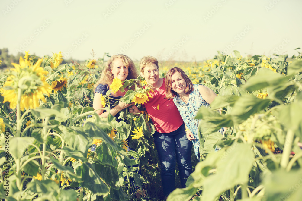 Portrait of happy mature women enjoying of freedom in the sunflowers field Portrait of happy mature women enjoying of freedom in the sunflowers field