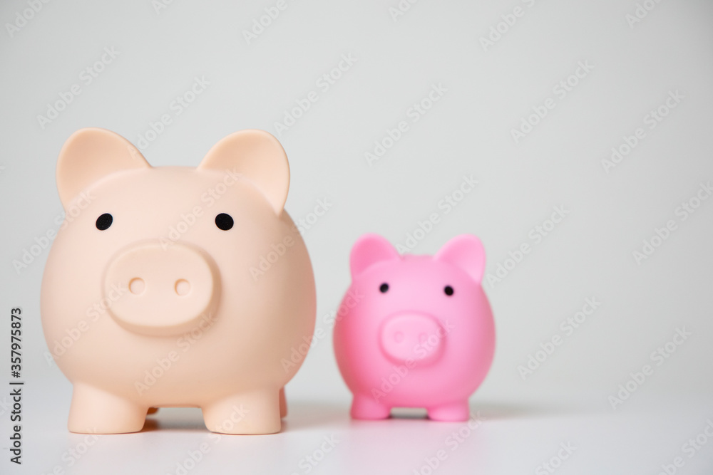 Saving pig for saving money for future investment and for emergency use Saving pig for saving money for future investment and for emergency use