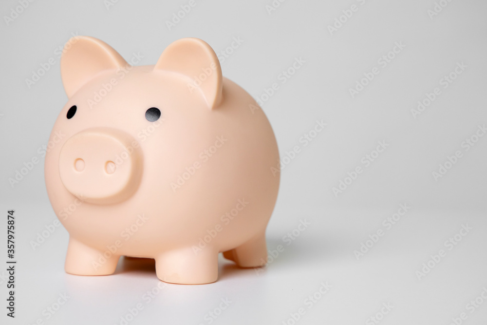 Saving pig for saving money for future investment and for emergency use