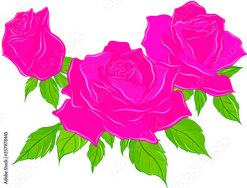 bouquet of beautiful pink roses vector
