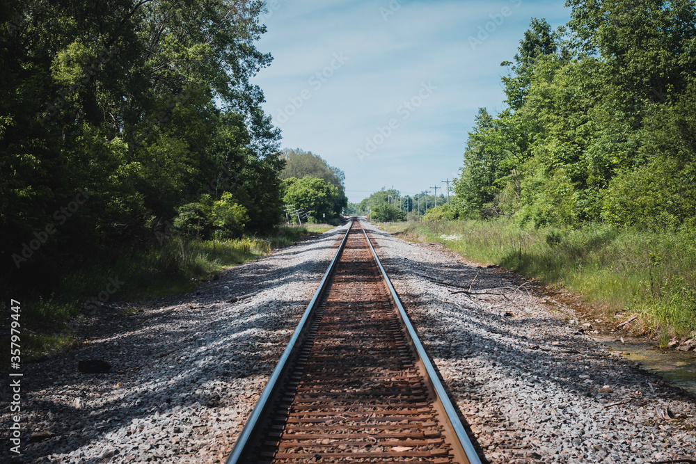 Fototapeta premium Railroad Track in the Forest