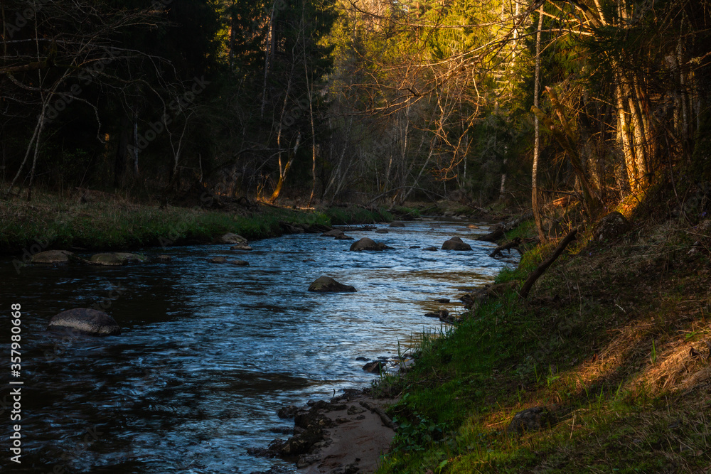 small river in forest with stones at sunset small river in forest with stones at sunset
