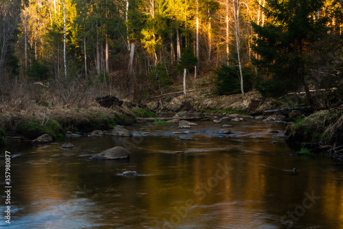 small river in forest with stones at sunset