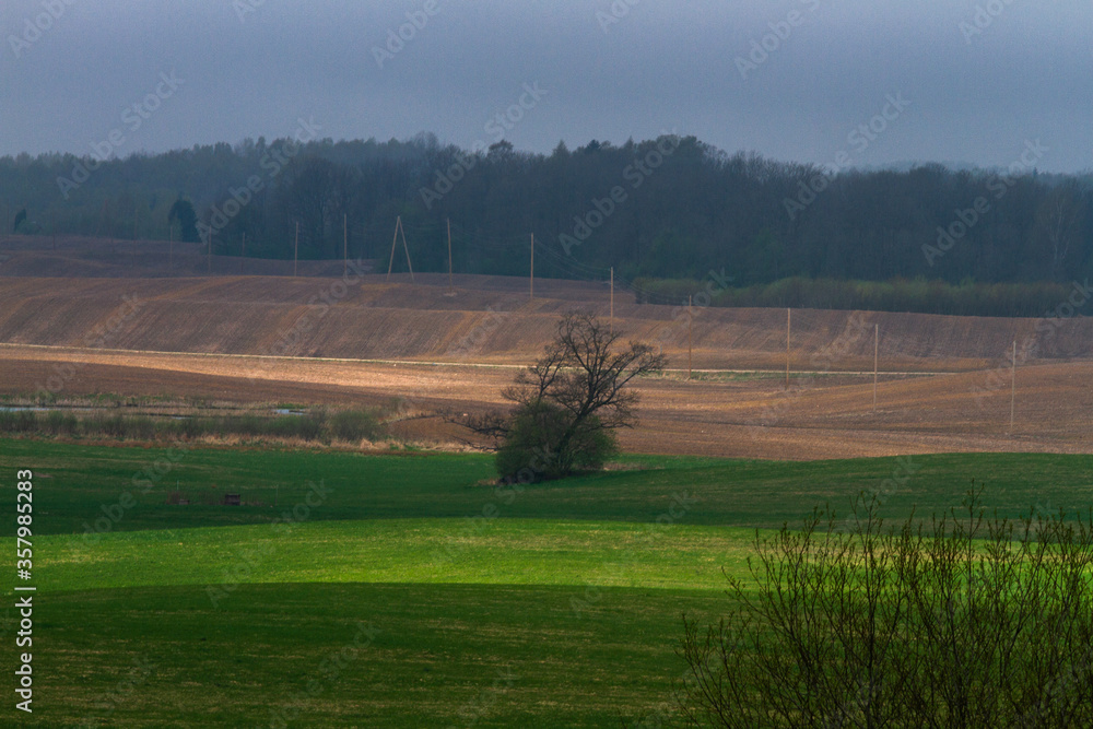  Cultivated land in early spring