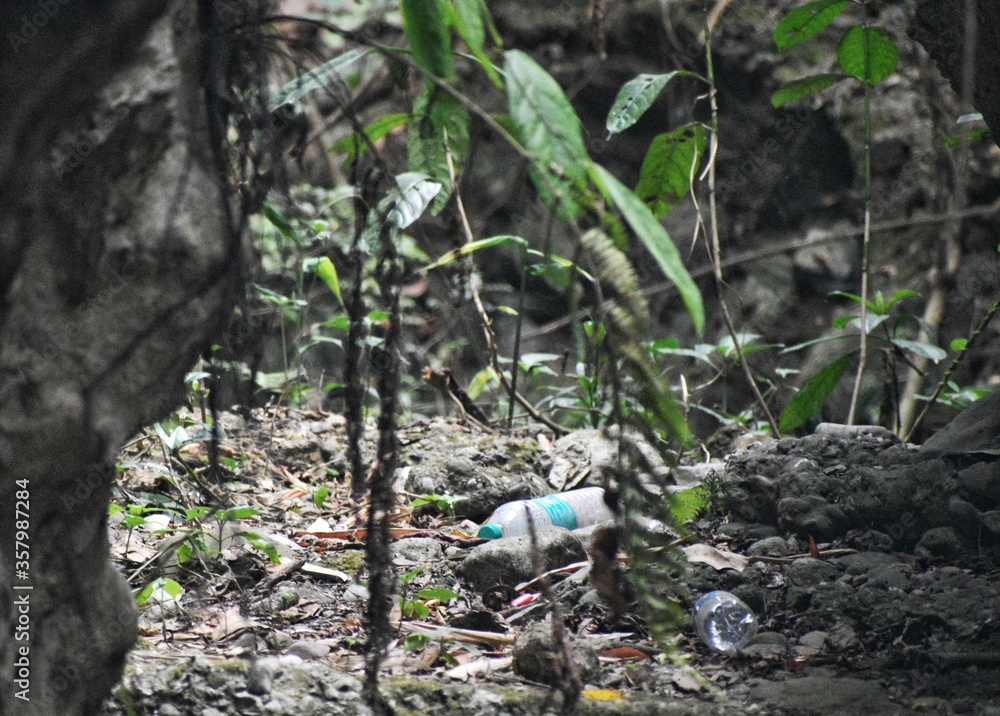 Fototapeta premium plastic water bottle garbage in the forest 