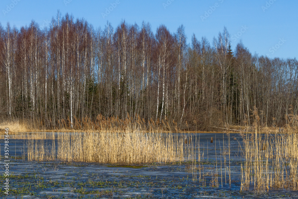 lake in early springtime with reflections lake in early springtime with reflections