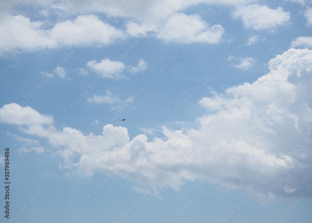 pájaro volando en el cielo azul con nubes blancas pájaro volando en el cielo azul con nubes blancas