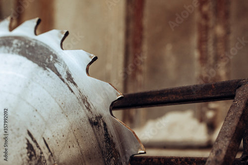 close up. circular saw for cutting wood.