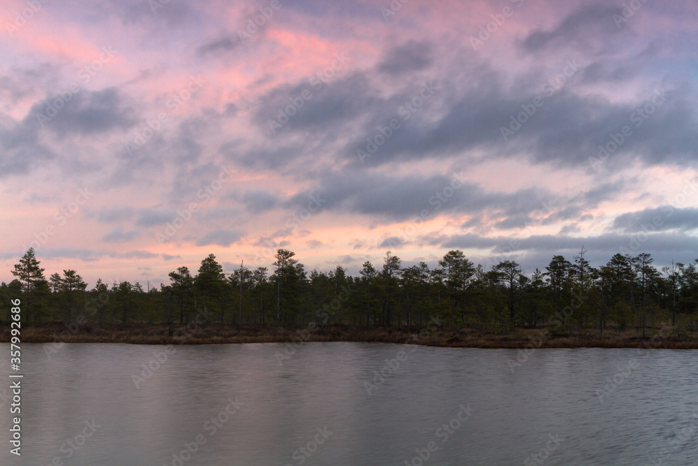 Fototapeta premium Swamp on a sunny day in great colors