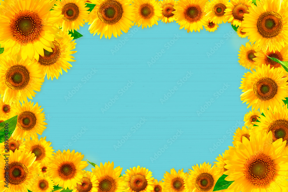 Sunflower frame and blue board_2781 Sunflower frame and blue board_2781