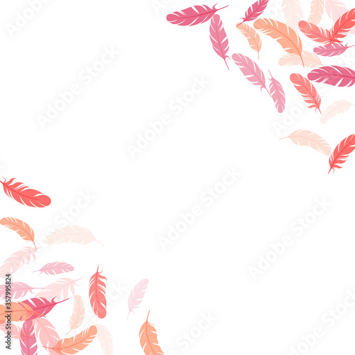 Detailed majestic feather on white design.