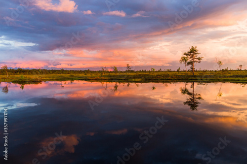 Swamp on a sunny day in great colors © EriksZ