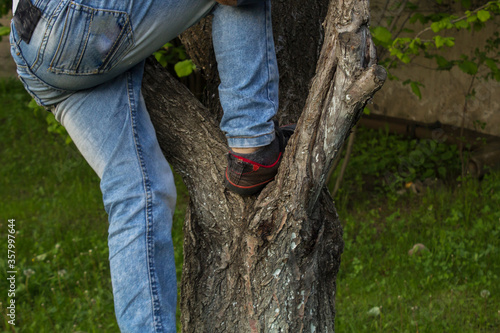 Boy to climb a tree