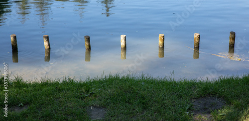 wood pieces in the lake 