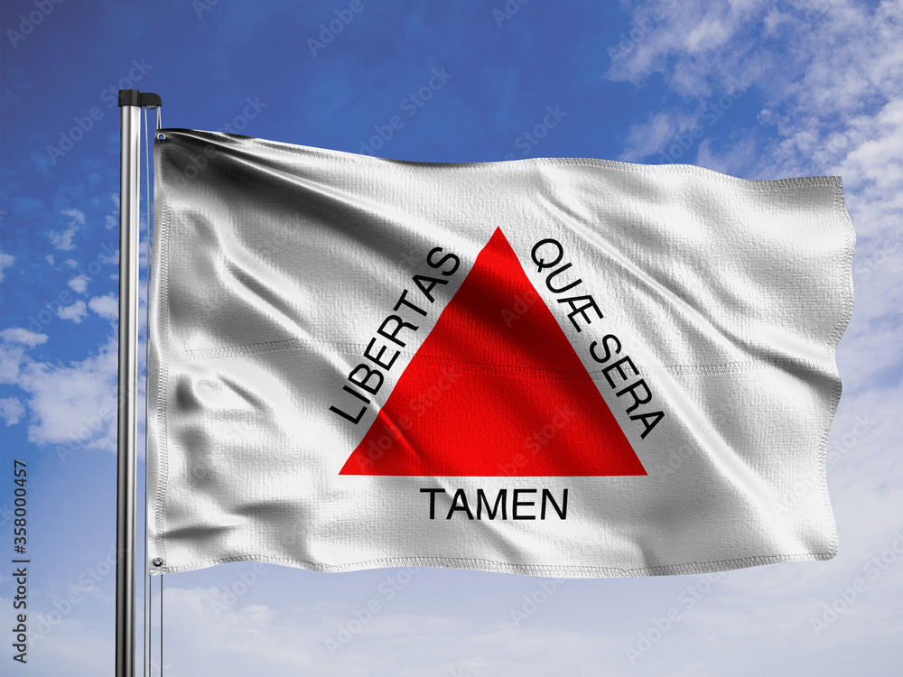Minas Gerais flag. One of the states of Brazil.