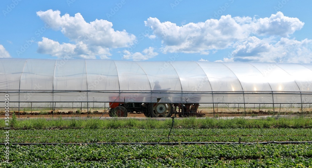 Tractor at work inside an agricultural greenhouse building to restore the soil. View from outside. Tractor at work inside an agricultural greenhouse building to restore the soil. View from outside.