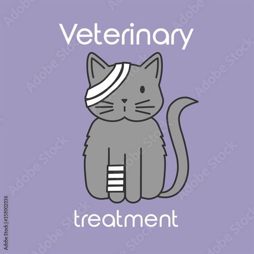 Vector flat line colored icon grey cartoon cat with white veterinarian bandage on purple background
