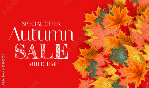 Autumn Sale Background Template with leaves. Special offer. Limited Time. Vec...