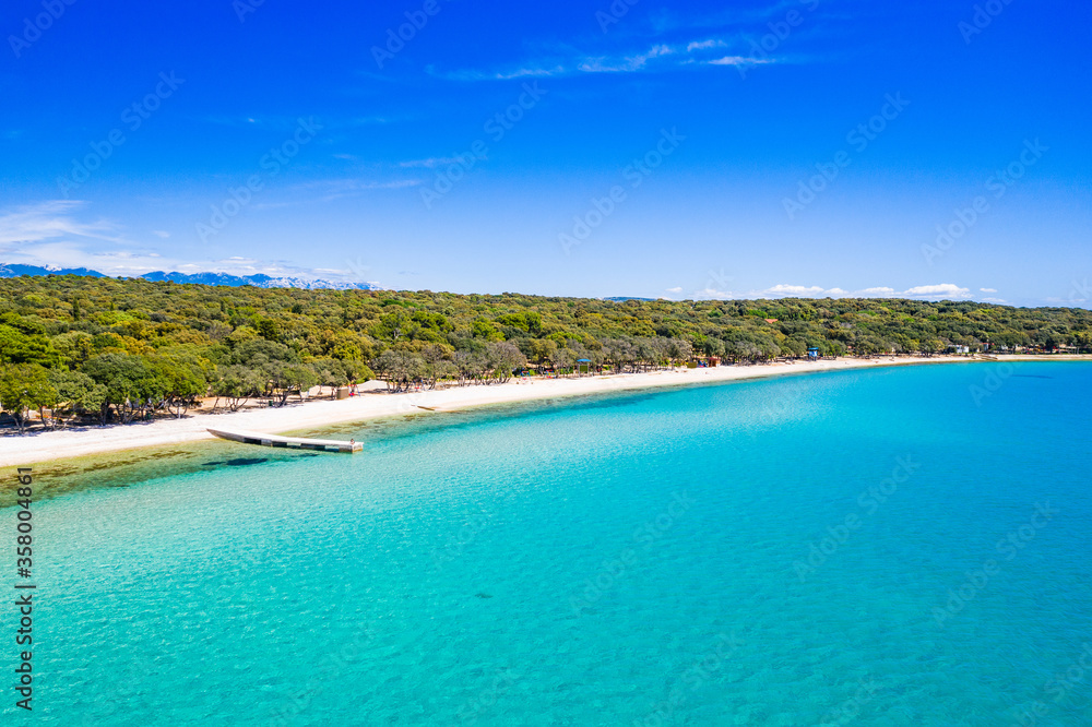 Adriatic sea shore in Croatia, Pag island, pine woods and long beach from drone Adriatic sea shore in Croatia, Pag island, pine woods and long beach from drone