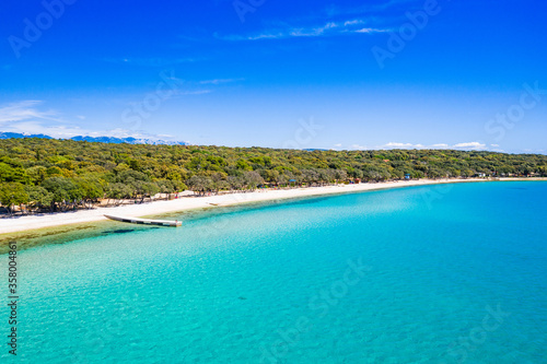 Adriatic sea shore in Croatia, Pag island, pine woods and long beach from drone © ilijaa