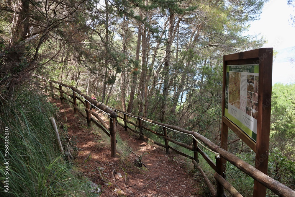 Palinuro – Cartello informativo sul sentiero della pineta