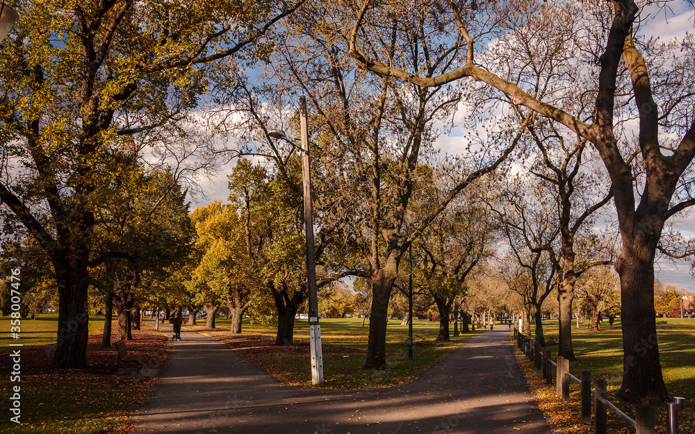 A Walk on Princes Park, Melbourne, Victoria, Australia. Urban park landscape, autumn vibes on a green area. Path and tracks on a park.