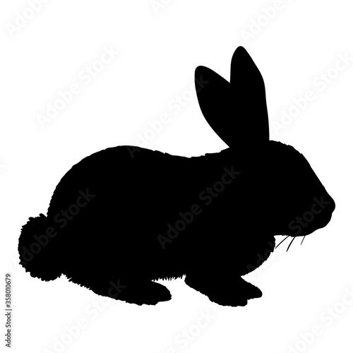 Vector Silhouette of Rabbit