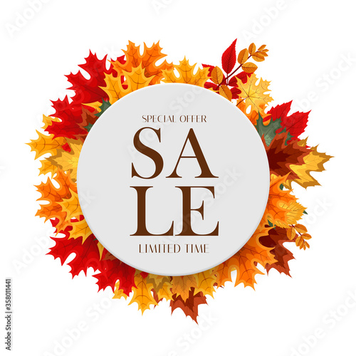 Autumn Sale Background Template with leaves. Special offer. Limited Time. Vec...