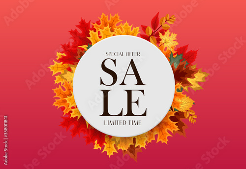 Autumn Sale Background Template with leaves. Special offer. Limited Time. Vec...