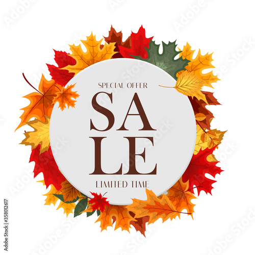 Autumn Sale Background Template with leaves. Special offer. Limited Time. Vec...