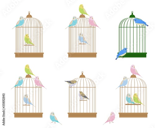 鳥かごと鳥　インコ