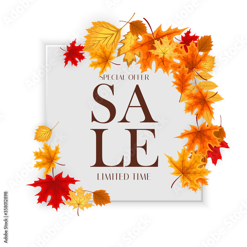 Autumn Sale Background Template with leaves. Special offer. Limited Time. Vec...