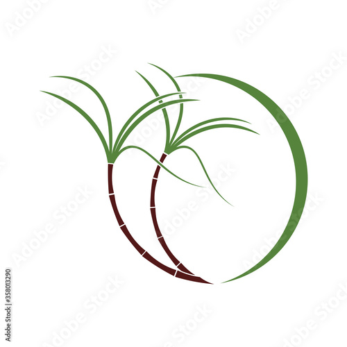 Sugar cane Logo Template vector symbol