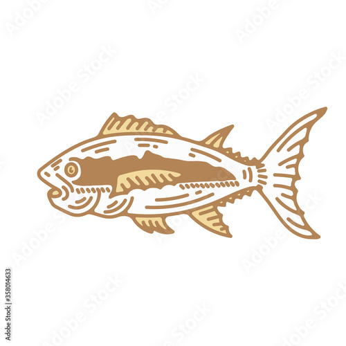 fish vector illustration in engraving style. flat clip art element for logo design. aquarium creature, fishing, pet store.