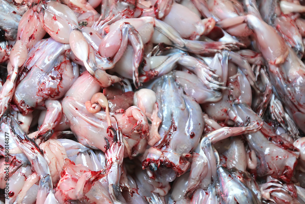 1 Fresh carcasses of refreshed frogs 1 Fresh carcasses of refreshed frogs