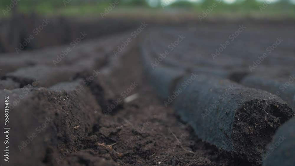 Cut turf drying in bog Ireland rack focus Cut turf drying in bog Ireland rack focus