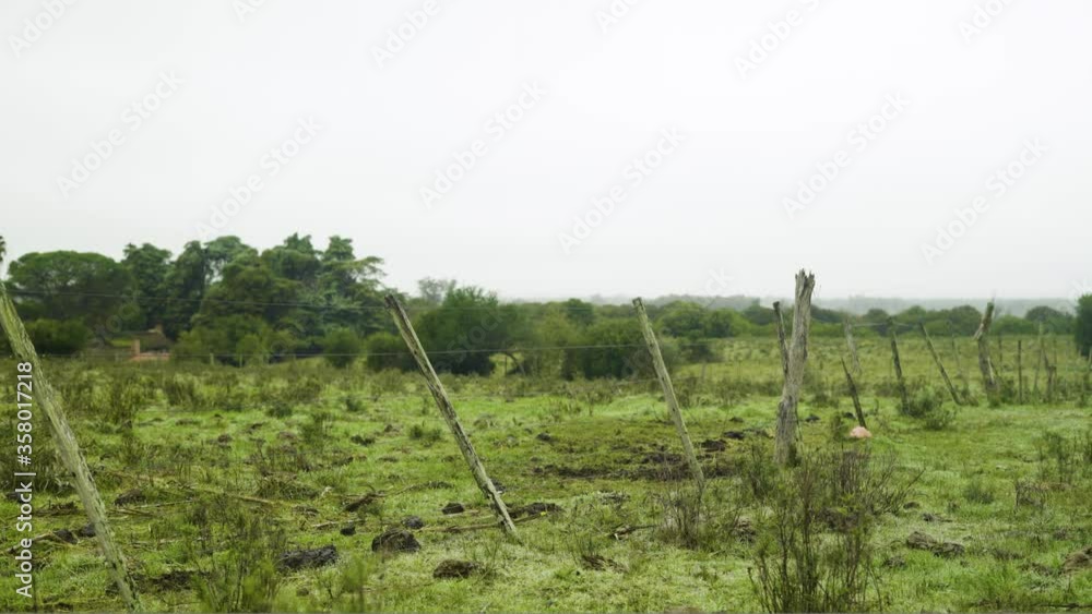 Wire fence in misty field in the morning, wide shot Wire fence in misty field in the morning, wide shot
