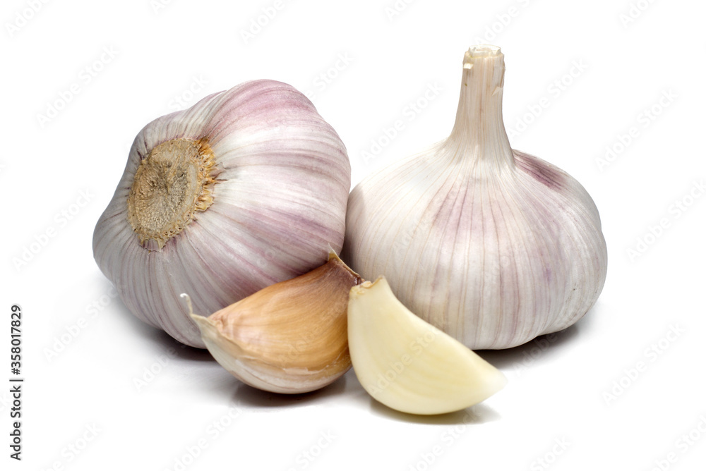 garlic on white background garlic on white background