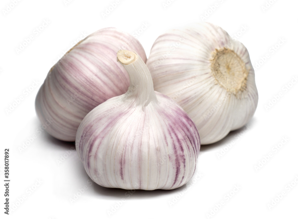 Obraz premium garlic on white background