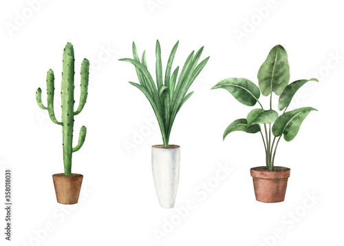 Watercolor vector set with home plants in ceramic pots.