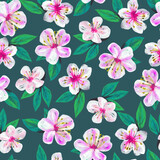 Digital painted seamless pattern with cherry blossom. Bright summer floral background. Illustration for paper and textile design.