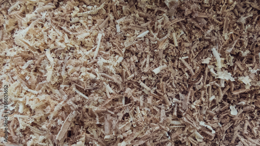 creative idea for background. wood shavings, sawdust in a carpentry workshop creative idea for background. wood shavings, sawdust in a carpentry workshop