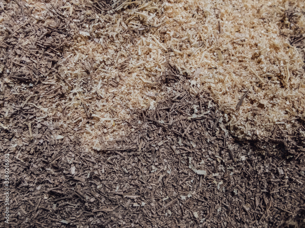 creative idea for background. wood shavings, sawdust in a carpentry workshop creative idea for background. wood shavings, sawdust in a carpentry workshop