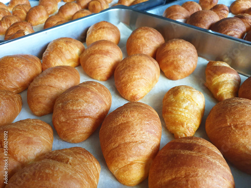 Fresh croissants on a baking sheet, after baking.