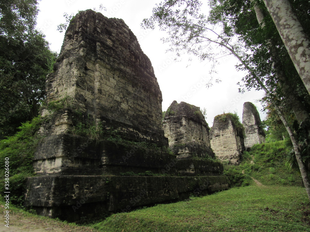 TIKAL NATIONAL PARK, PETEN, GUATEMALA TIKAL NATIONAL PARK, PETEN, GUATEMALA