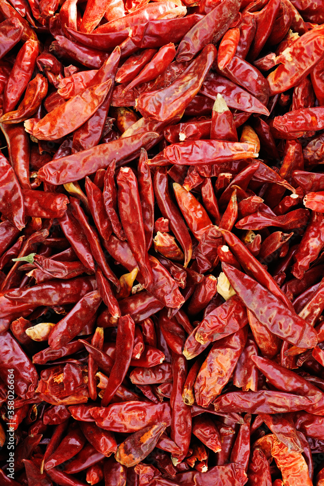 dried red chili peppers dried red chili peppers
