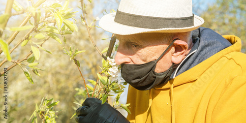 old gardener in sterile mask and gloves smells white blossom