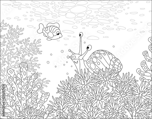 Funny marine snail and a sm...