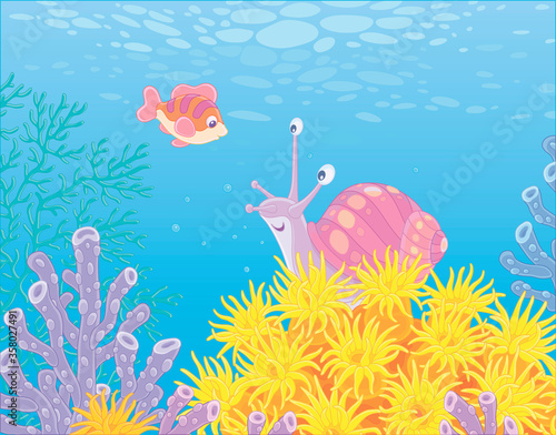 Funny marine snail and a sm...