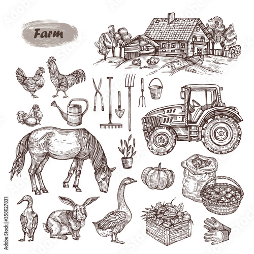 Vector hand drawn set - rural landscape, farm animals, tools